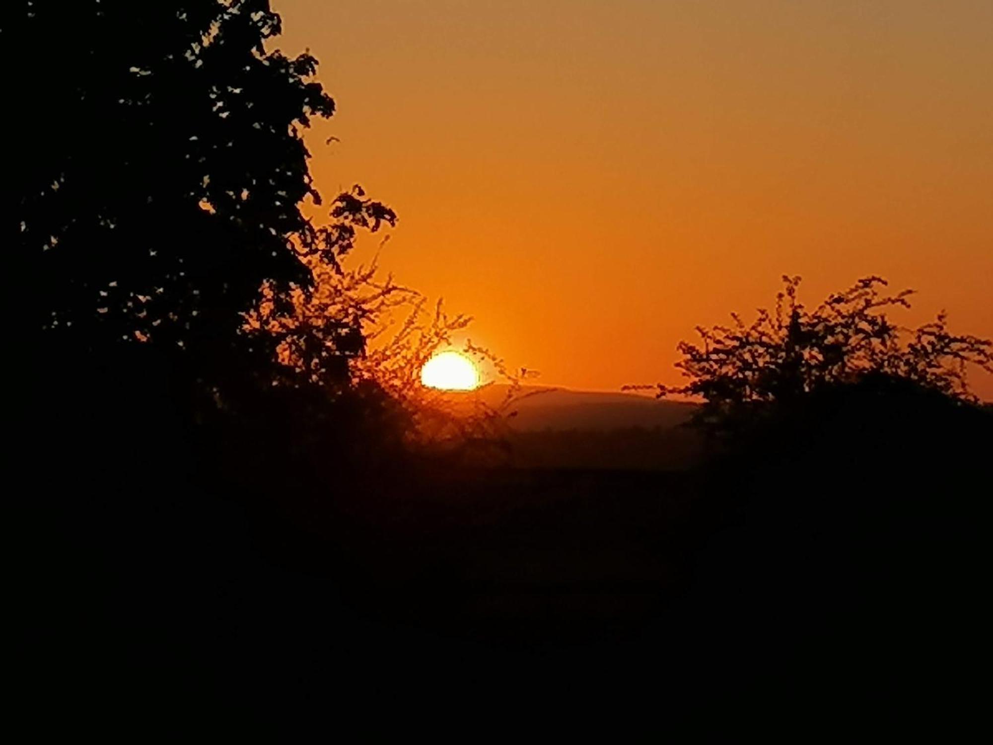 Ross-on-Wye Stargazer Glamping Uk The Mahal 8 People酒店 外观 照片